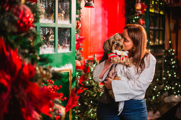 Bebé perruno, sesión de fotos de navidad, estudio en Panamá, perrihijo